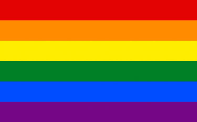 Gay flag.svg 750x463